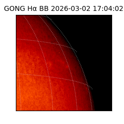 gong - 2026-03-02T17:04:02