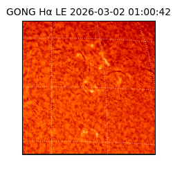 gong - 2026-03-02T01:00:42