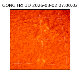 gong - 2026-03-02T07:00:02