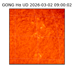 gong - 2026-03-02T09:00:02