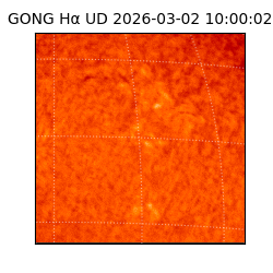 gong - 2026-03-02T10:00:02