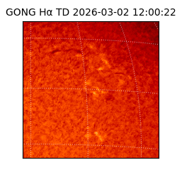 gong - 2026-03-02T12:00:22