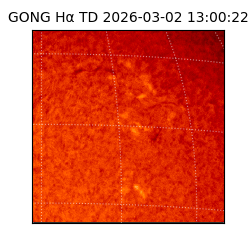 gong - 2026-03-02T13:00:22