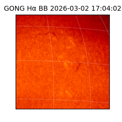gong - 2026-03-02T17:04:02