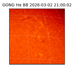 gong - 2026-03-02T21:00:02