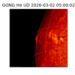 gong - 2026-03-02T05:00:02