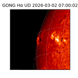 gong - 2026-03-02T07:00:02