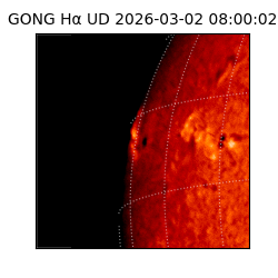 gong - 2026-03-02T08:00:02