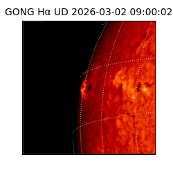 gong - 2026-03-02T09:00:02