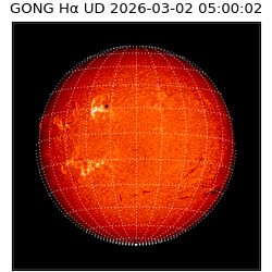 gong - 2026-03-02T05:00:02