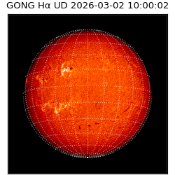 gong - 2026-03-02T10:00:02