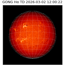 gong - 2026-03-02T12:00:22
