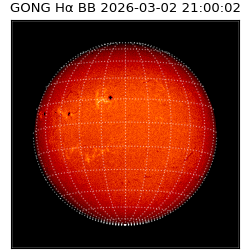 gong - 2026-03-02T21:00:02