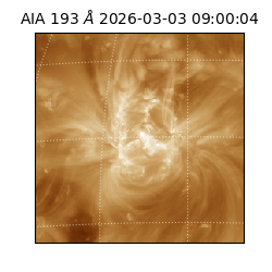 saia - 2026-03-03T09:00:04.843000