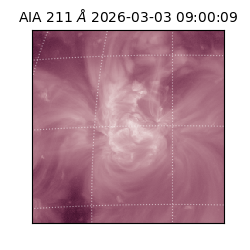 saia - 2026-03-03T09:00:09.625000