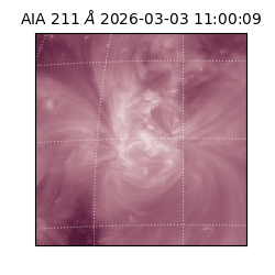 saia - 2026-03-03T11:00:09.617000