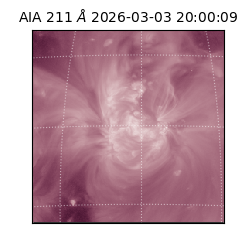 saia - 2026-03-03T20:00:09.618000