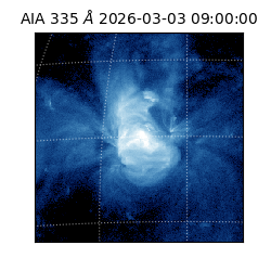 saia - 2026-03-03T09:00:00.625000