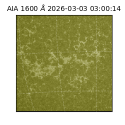 saia - 2026-03-03T03:00:14.125000