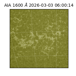 saia - 2026-03-03T06:00:14.125000