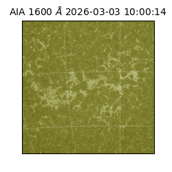 saia - 2026-03-03T10:00:14.125000