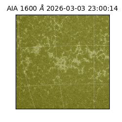 saia - 2026-03-03T23:00:14.125000