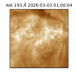 saia - 2026-03-03T01:00:04.846000