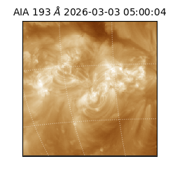 saia - 2026-03-03T05:00:04.843000