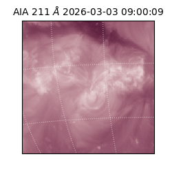 saia - 2026-03-03T09:00:09.625000