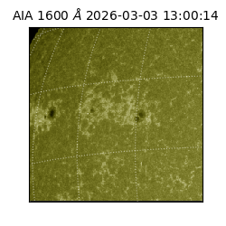 saia - 2026-03-03T13:00:14.117000