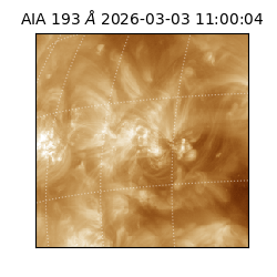 saia - 2026-03-03T11:00:04.835000