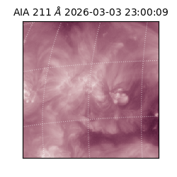 saia - 2026-03-03T23:00:09.630000