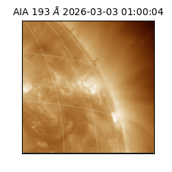 saia - 2026-03-03T01:00:04.846000