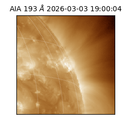 saia - 2026-03-03T19:00:04.843000