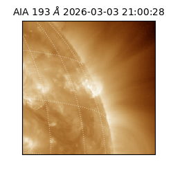 saia - 2026-03-03T21:00:28.843000