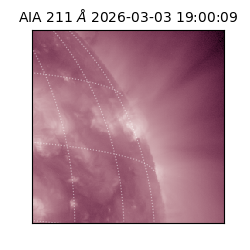 saia - 2026-03-03T19:00:09.626000