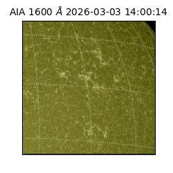 saia - 2026-03-03T14:00:14.125000