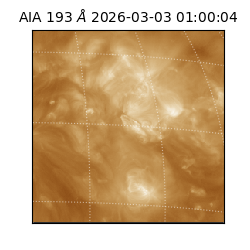 saia - 2026-03-03T01:00:04.846000