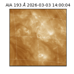 saia - 2026-03-03T14:00:04.846000