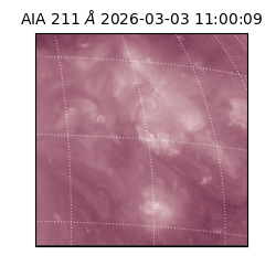 saia - 2026-03-03T11:00:09.617000