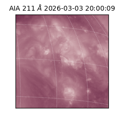 saia - 2026-03-03T20:00:09.618000