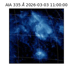 saia - 2026-03-03T11:00:00.625000