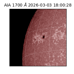 saia - 2026-03-03T18:00:28.717000