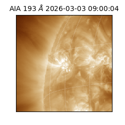 saia - 2026-03-03T09:00:04.843000