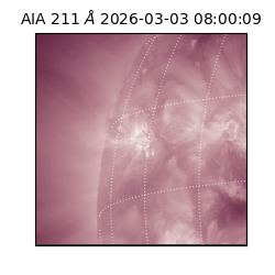 saia - 2026-03-03T08:00:09.625000