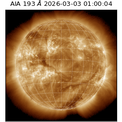 saia - 2026-03-03T01:00:04.846000
