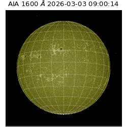 saia - 2026-03-03T09:00:14.132000