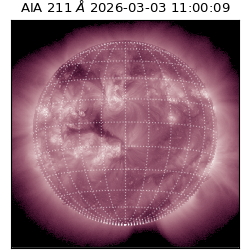 saia - 2026-03-03T11:00:09.617000