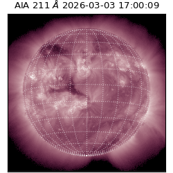 saia - 2026-03-03T17:00:09.626000
