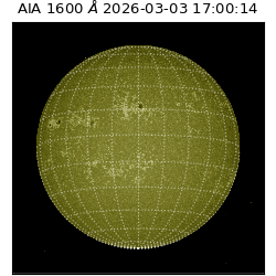 saia - 2026-03-03T17:00:14.129000